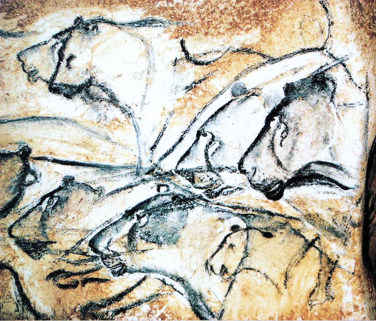 Lions painting, Chauvet Cave
