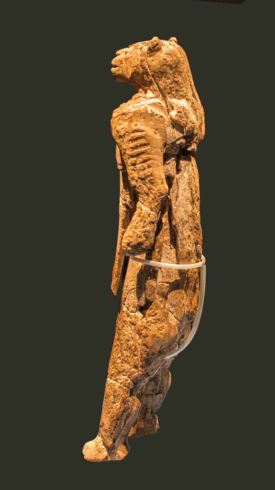 The lion man from the Stadel Cave in Hohlenstein, Lonetal